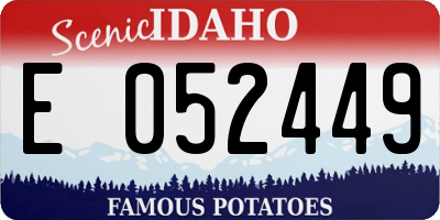 ID license plate E052449