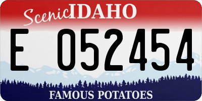 ID license plate E052454