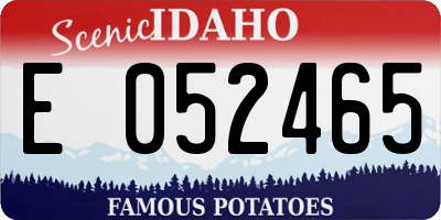 ID license plate E052465