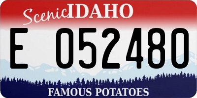 ID license plate E052480