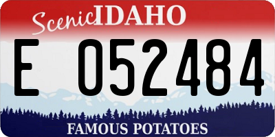 ID license plate E052484