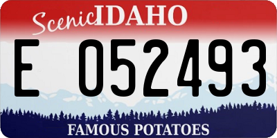 ID license plate E052493
