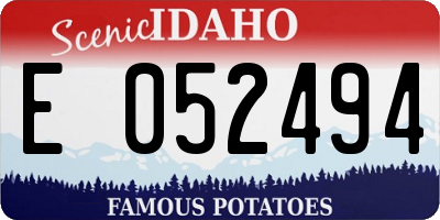 ID license plate E052494