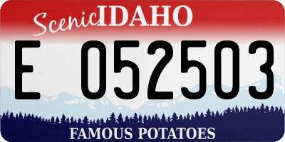 ID license plate E052503