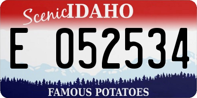 ID license plate E052534