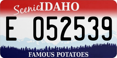 ID license plate E052539