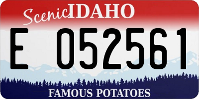 ID license plate E052561