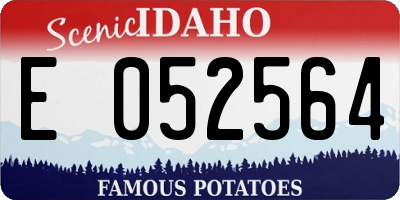 ID license plate E052564