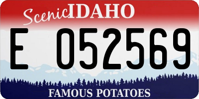 ID license plate E052569