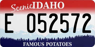 ID license plate E052572