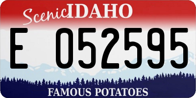 ID license plate E052595