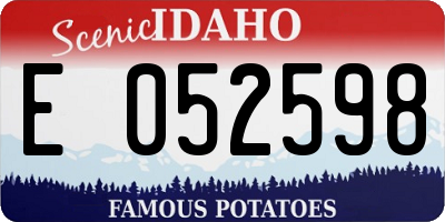 ID license plate E052598