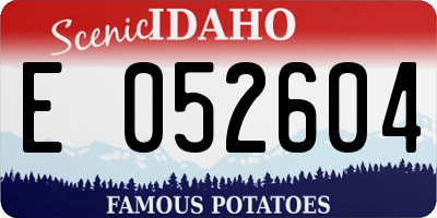 ID license plate E052604