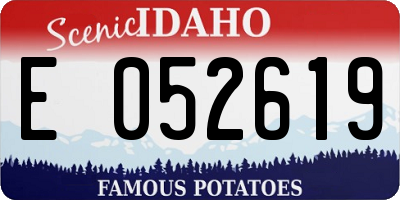 ID license plate E052619