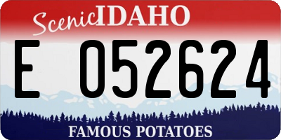 ID license plate E052624