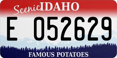 ID license plate E052629