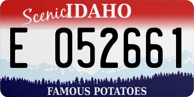 ID license plate E052661