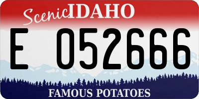 ID license plate E052666