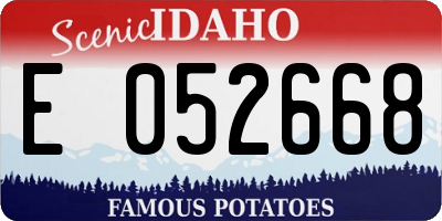 ID license plate E052668