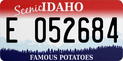ID license plate E052684
