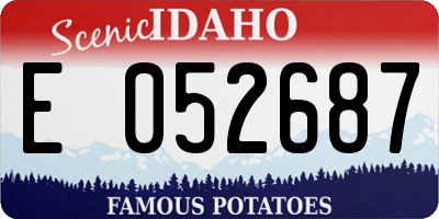 ID license plate E052687