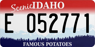 ID license plate E052771
