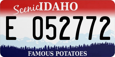 ID license plate E052772