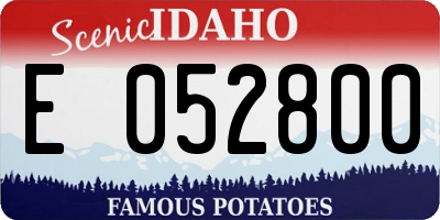 ID license plate E052800