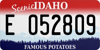 ID license plate E052809