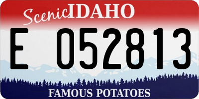 ID license plate E052813