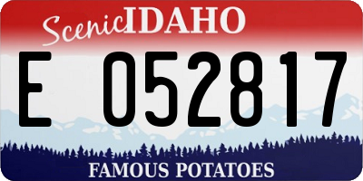 ID license plate E052817