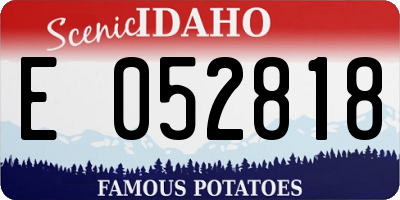 ID license plate E052818