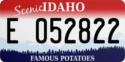 ID license plate E052822