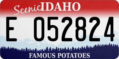 ID license plate E052824