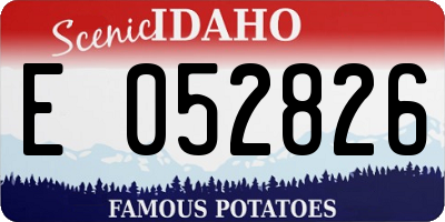 ID license plate E052826
