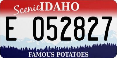 ID license plate E052827