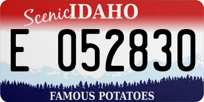 ID license plate E052830