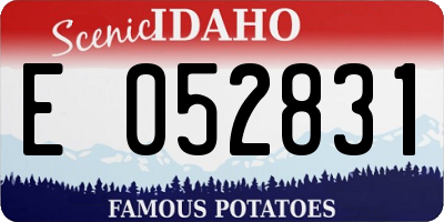ID license plate E052831