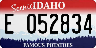 ID license plate E052834