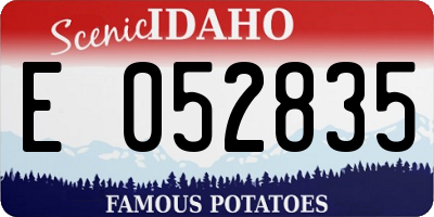 ID license plate E052835