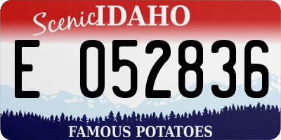 ID license plate E052836