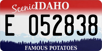 ID license plate E052838