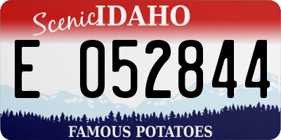 ID license plate E052844