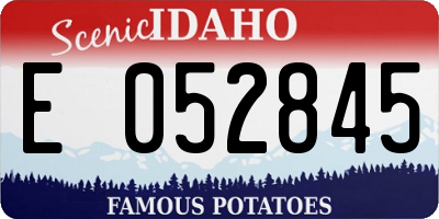 ID license plate E052845