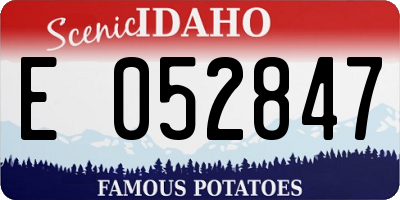 ID license plate E052847