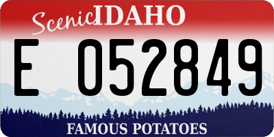 ID license plate E052849