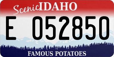 ID license plate E052850