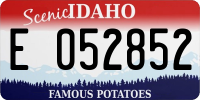 ID license plate E052852