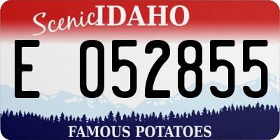 ID license plate E052855