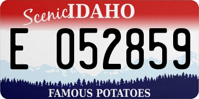 ID license plate E052859